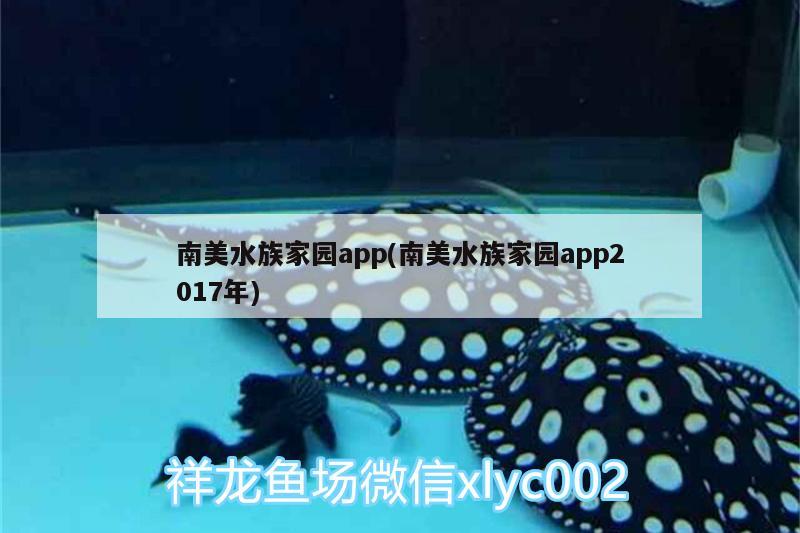 南美水族家園app(南美水族家園app2017年) 金龍魚糧