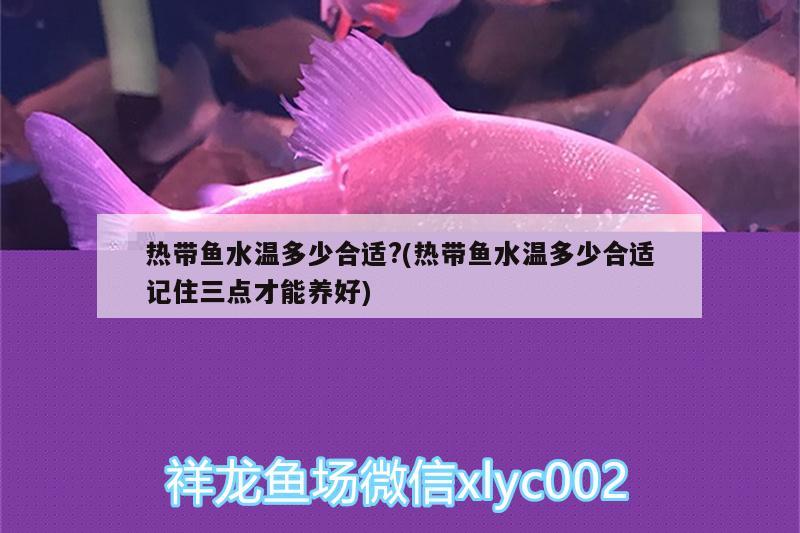 熱帶魚水溫多少合適?(熱帶魚水溫多少合適記住三點才能養(yǎng)好)