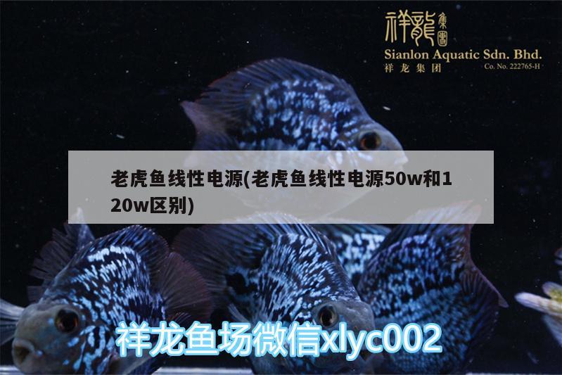 老虎魚線性電源(老虎魚線性電源50w和120w區(qū)別) 垂釣樂(lè)園