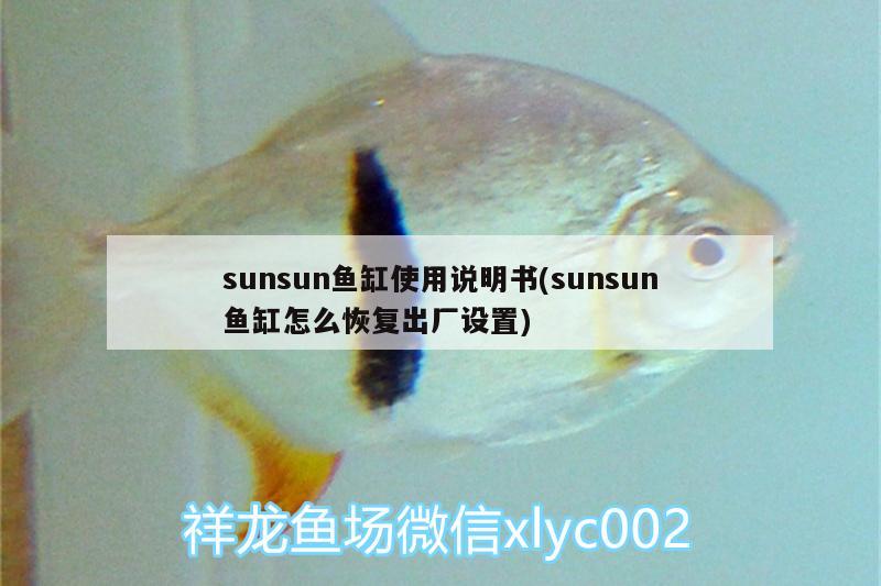 sunsun魚缸使用說明書(sunsun魚缸怎么恢復出廠設(shè)置) 黃金河虎魚