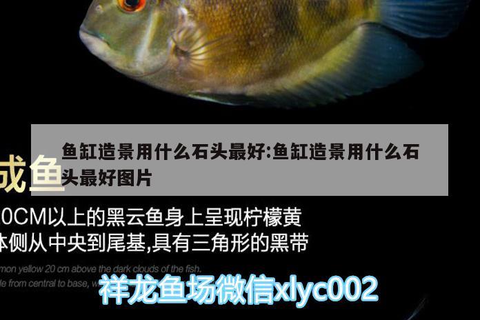 魚缸造景用什么石頭最好:魚缸造景用什么石頭最好圖片 沖氧泵