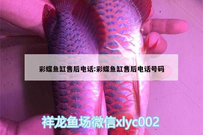 彩蝶魚缸售后電話:彩蝶魚缸售后電話號碼