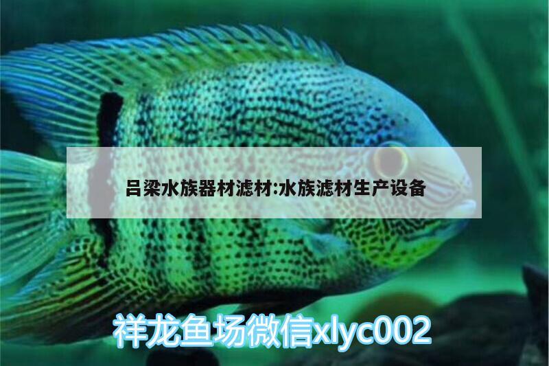 呂梁水族器材濾材:水族濾材生產(chǎn)設備 二氧化碳設備