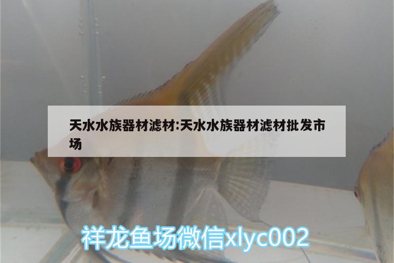 天水水族器材濾材:天水水族器材濾材批發(fā)市場