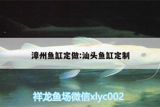 漳州魚缸定做:汕頭魚缸定制