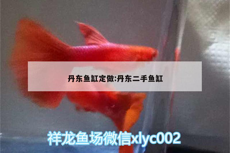 丹東魚缸定做:丹東二手魚缸 紅頭利魚