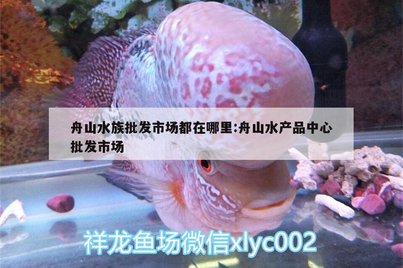 舟山水族批發(fā)市場都在哪里:舟山水產品中心批發(fā)市場