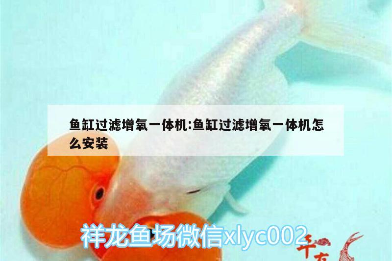 魚缸過(guò)濾增氧一體機(jī):魚缸過(guò)濾增氧一體機(jī)怎么安裝 銀龍魚