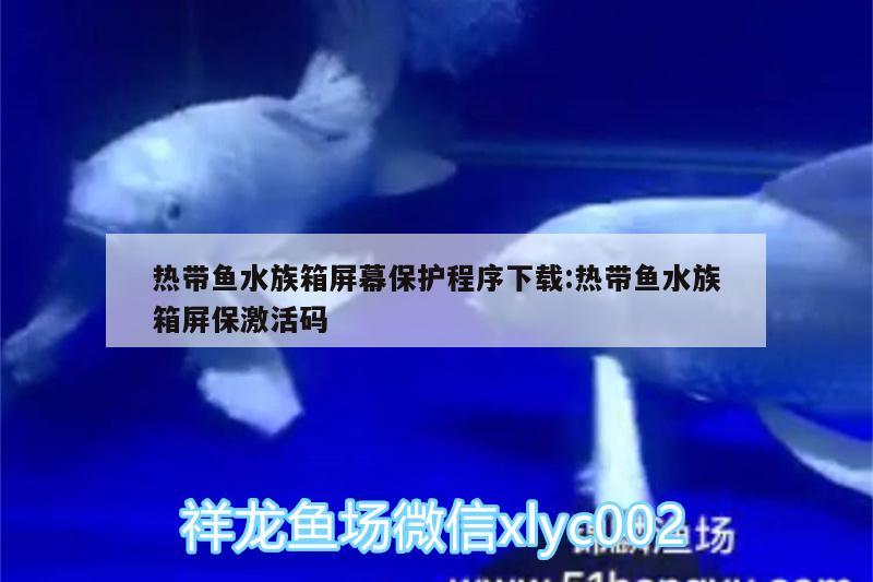 熱帶魚水族箱屏幕保護(hù)程序下載:熱帶魚水族箱屏保激活碼 魚缸/水族箱 第2張