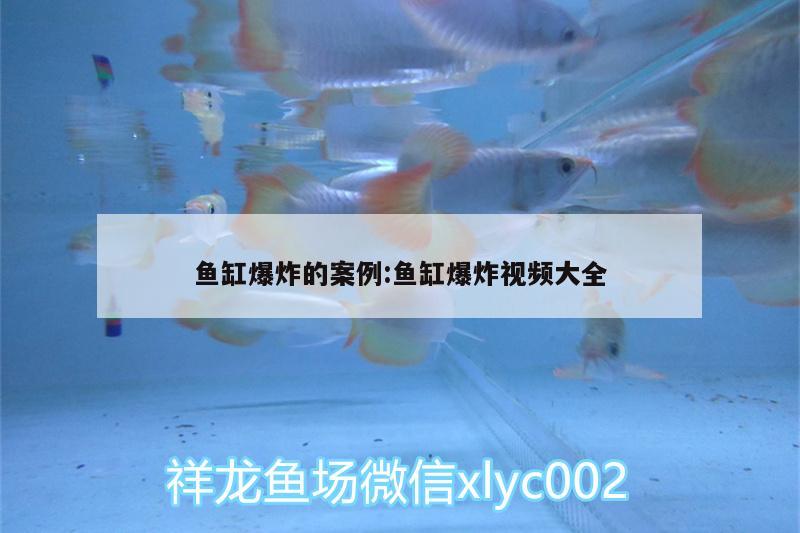 魚(yú)缸爆炸的案例:魚(yú)缸爆炸視頻大全