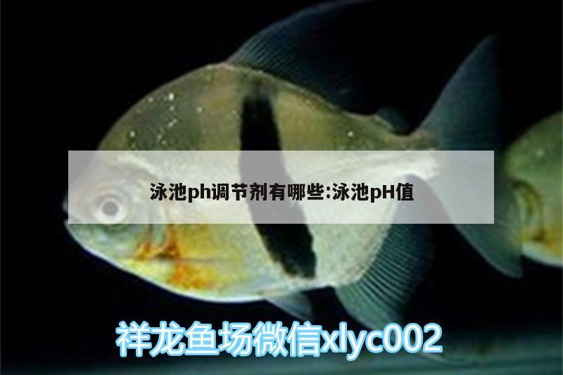 泳池ph調(diào)節(jié)劑有哪些:泳池pH值 觀賞魚魚苗