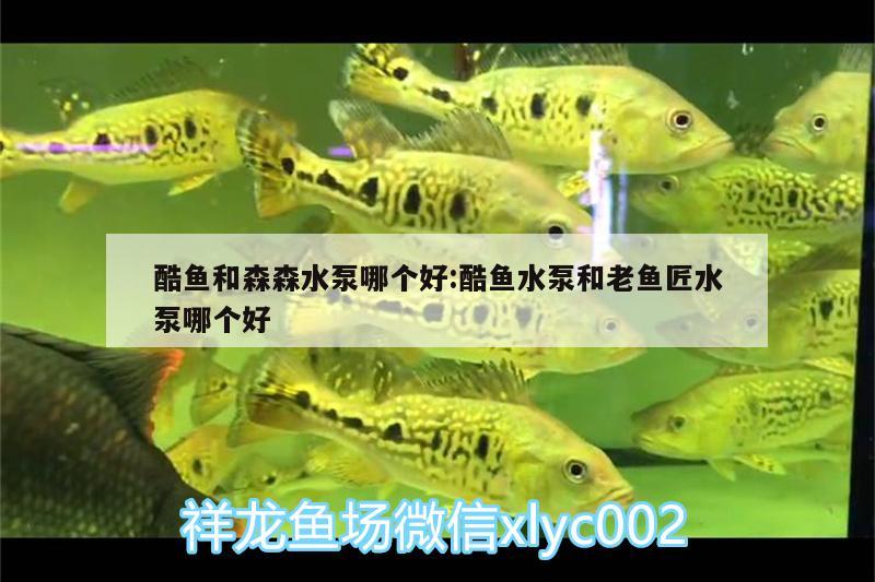 酷魚和森森水泵哪個(gè)好:酷魚水泵和老魚匠水泵哪個(gè)好 老魚匠