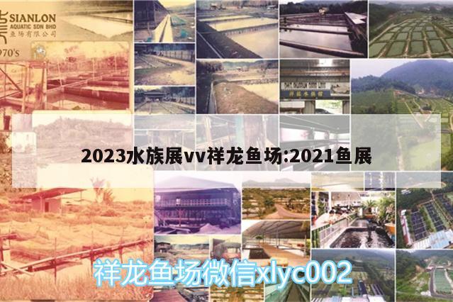 2023水族展vv祥龍魚場:2021魚展 水族展會(huì)