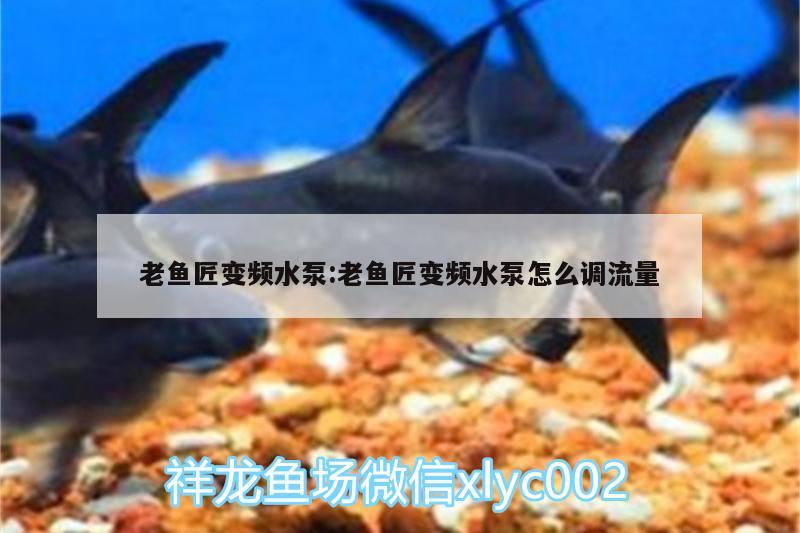 老魚(yú)匠變頻水泵:老魚(yú)匠變頻水泵怎么調(diào)流量