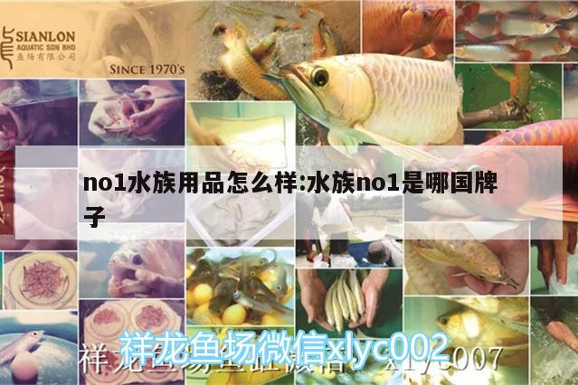 no1水族用品怎么樣:水族no1是哪國牌子 水族用品