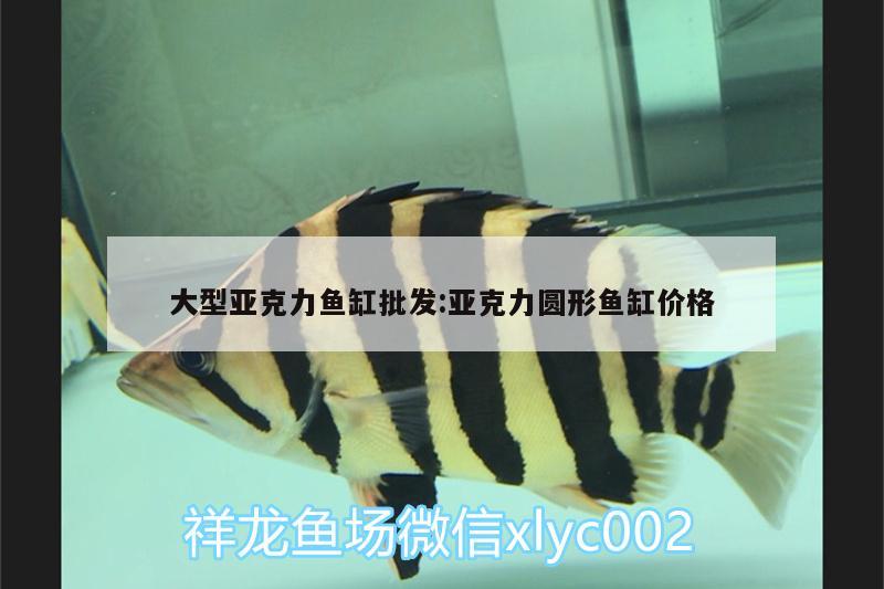 大型亞克力魚缸批發(fā):亞克力圓形魚缸價格