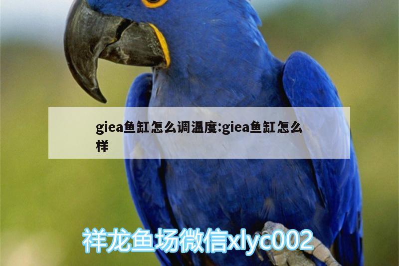 giea魚缸怎么調(diào)溫度:giea魚缸怎么樣