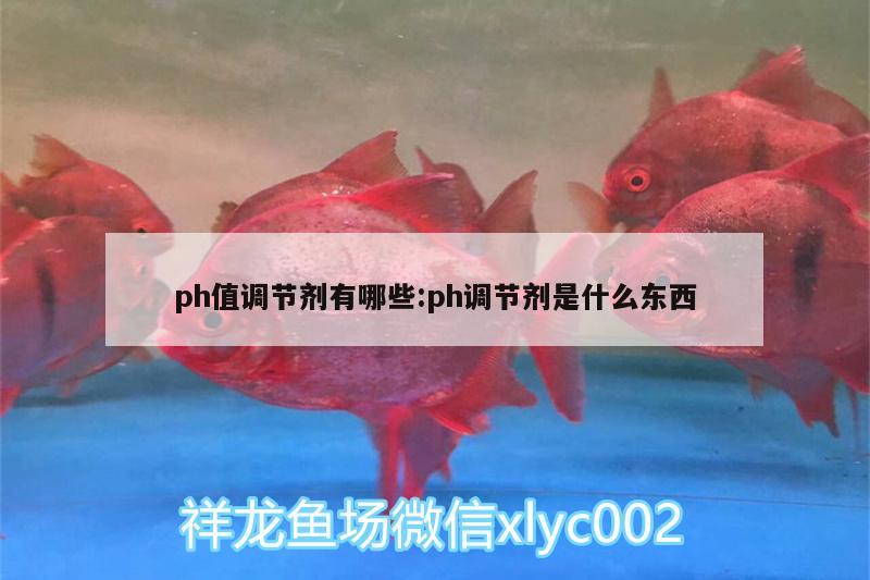 ph值調(diào)節(jié)劑有哪些:ph調(diào)節(jié)劑是什么東西 PH調(diào)節(jié)劑