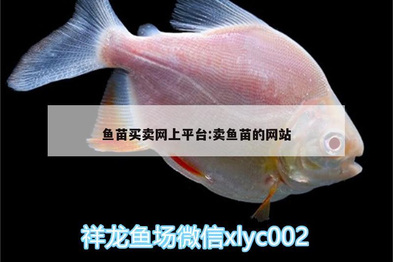 魚苗買賣網(wǎng)上平臺:賣魚苗的網(wǎng)站