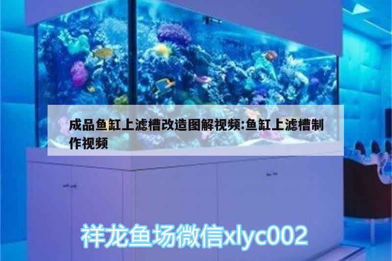 成品魚缸上濾槽改造圖解視頻:魚缸上濾槽制作視頻