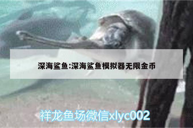 深海鯊魚(yú):深海鯊魚(yú)模擬器無(wú)限金幣