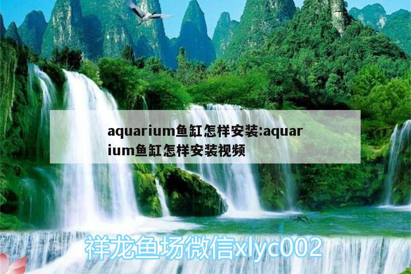 aquarium魚缸怎樣安裝:aquarium魚缸怎樣安裝視頻 黃金招財貓魚 第1張