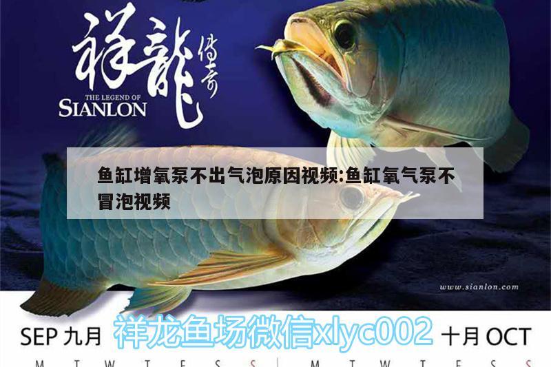 魚缸增氧泵不出氣泡原因視頻:魚缸氧氣泵不冒泡視頻