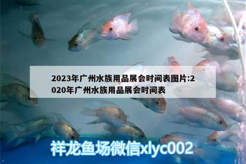 2023年廣州水族用品展會(huì)時(shí)間表圖片:2020年廣州水族用品展會(huì)時(shí)間表