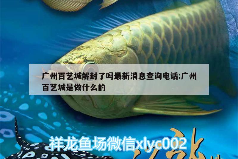 廣州百藝城解封了嗎最新消息查詢電話:廣州百藝城是做什么的 埃及神仙魚(yú)