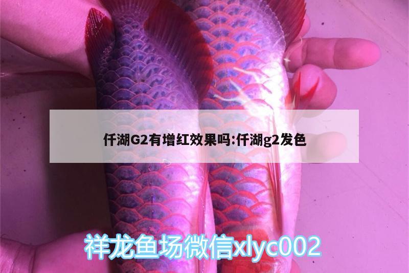 仟湖G2有增紅效果嗎:仟湖g2發(fā)色