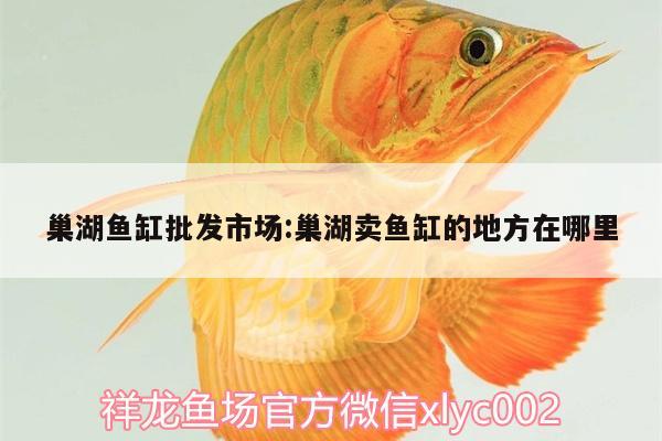 巢湖魚缸批發(fā)市場:巢湖賣魚缸的地方在哪里