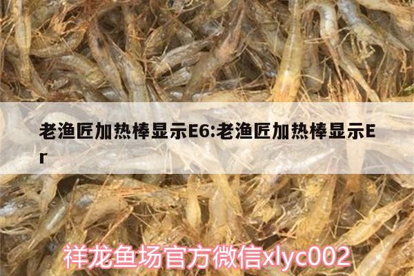 老漁匠加熱棒顯示E6:老漁匠加熱棒顯示Er 印尼虎苗