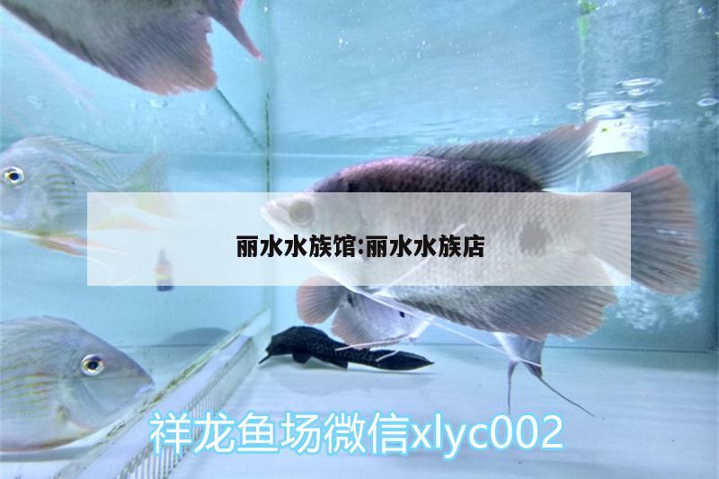 麗水水族館:麗水水族店 B級過背金龍魚