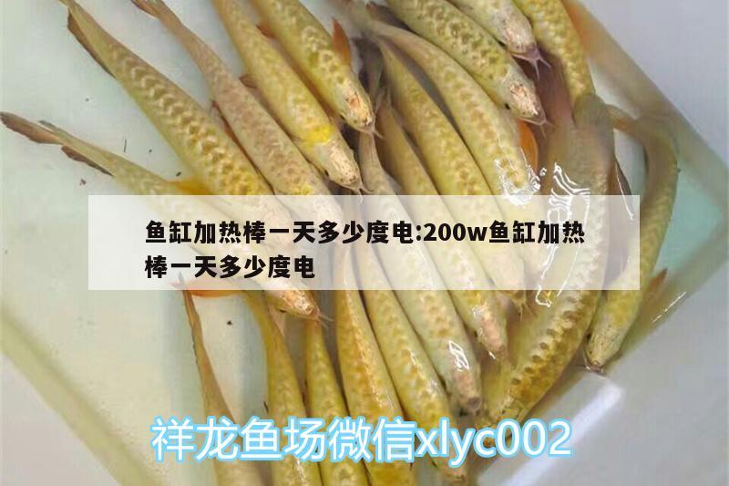 魚缸加熱棒一天多少度電:200w魚缸加熱棒一天多少度電