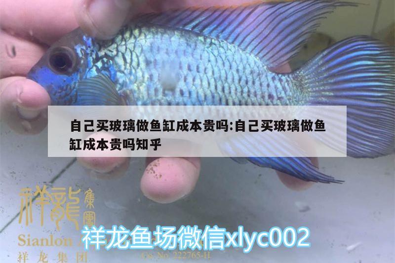 自己買玻璃做魚缸成本貴嗎:自己買玻璃做魚缸成本貴嗎知乎