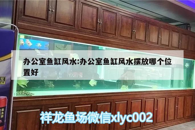 辦公室魚缸風水:辦公室魚缸風水擺放哪個位置好