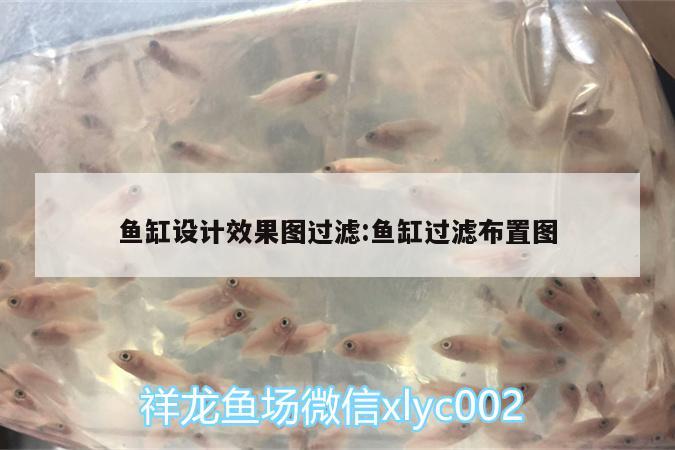 魚缸設(shè)計(jì)效果圖過濾:魚缸過濾布置圖 野生地圖魚