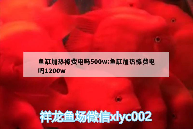 魚缸加熱棒費電嗎500w:魚缸加熱棒費電嗎1200w