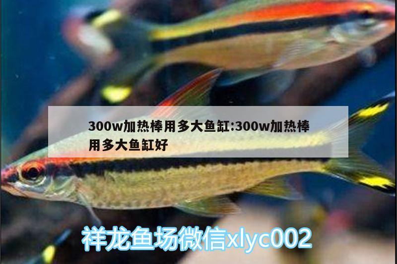 300w加熱棒用多大魚缸:300w加熱棒用多大魚缸好