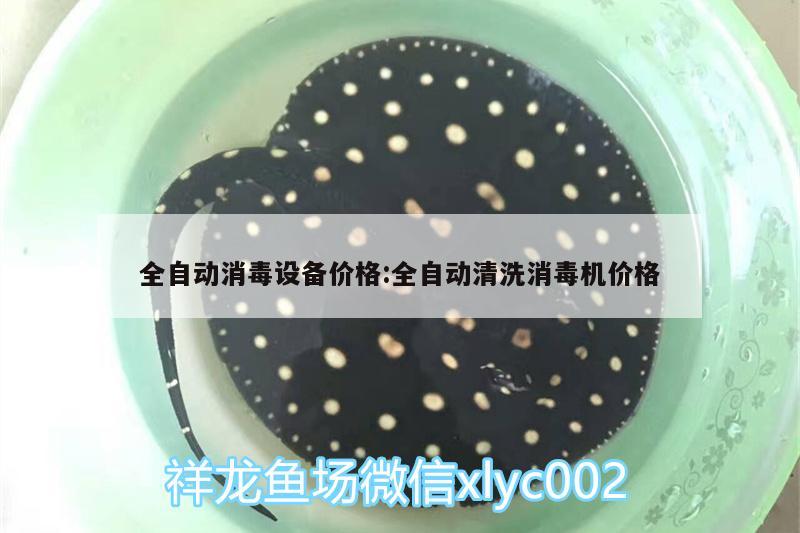 全自動消毒設(shè)備價格:全自動清洗消毒機(jī)價格 觀賞魚市場