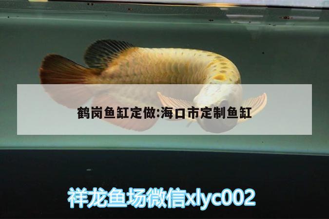 鶴崗魚缸定做:?？谑卸ㄖ启~缸 狗仔招財貓魚