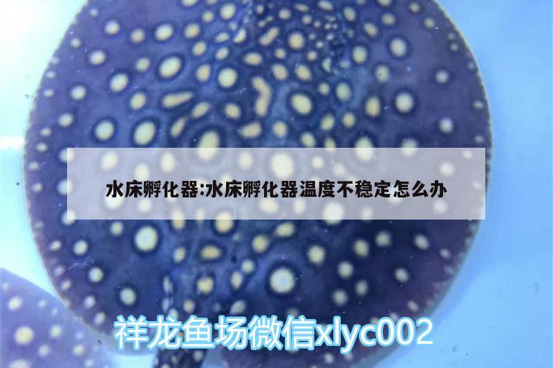 水床孵化器:水床孵化器溫度不穩(wěn)定怎么辦