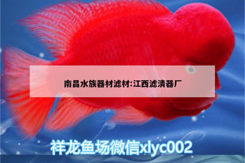 南昌水族器材濾材:江西濾清器廠(chǎng)