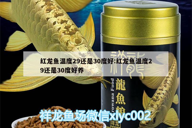 紅龍魚溫度29還是30度好:紅龍魚溫度29還是30度好養(yǎng)