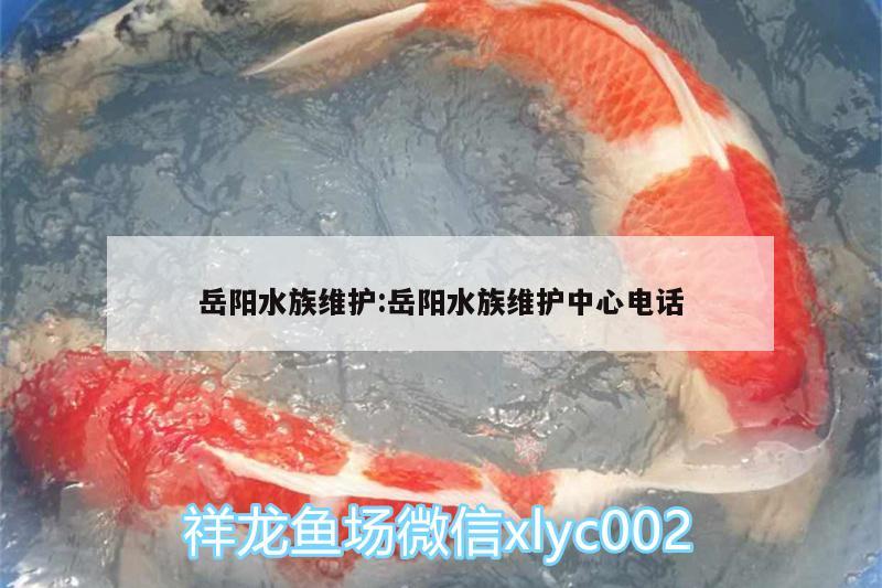 岳陽水族維護(hù):岳陽水族維護(hù)中心電話