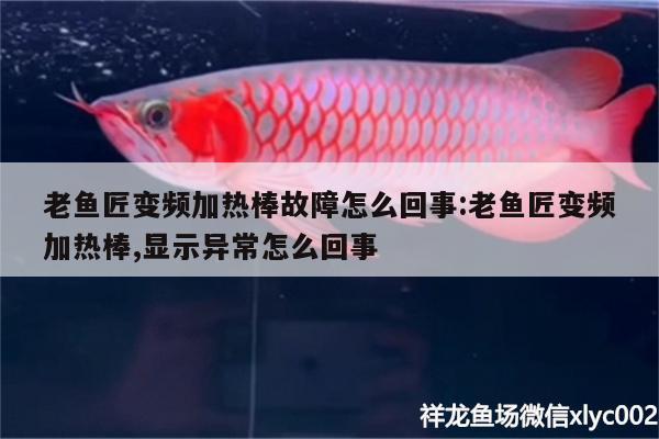 老魚匠變頻加熱棒故障怎么回事:老魚匠變頻加熱棒,顯示異常怎么回事 老魚匠