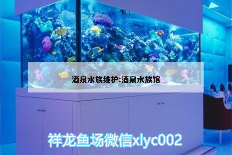 酒泉水族維護(hù):酒泉水族館 古典過背金龍魚