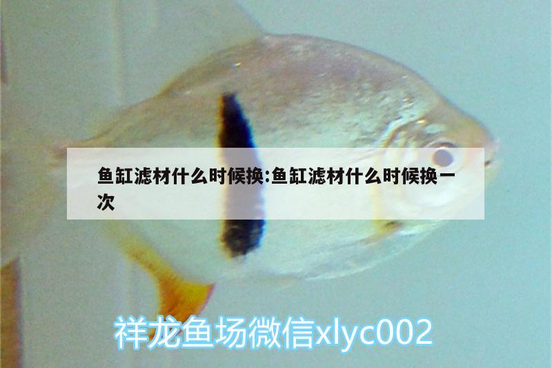 魚缸濾材什么時(shí)候換:魚缸濾材什么時(shí)候換一次 肥料