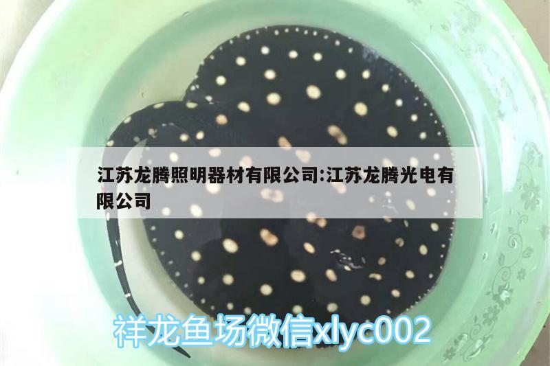 江蘇龍騰照明器材有限公司:江蘇龍騰光電有限公司 照明器材