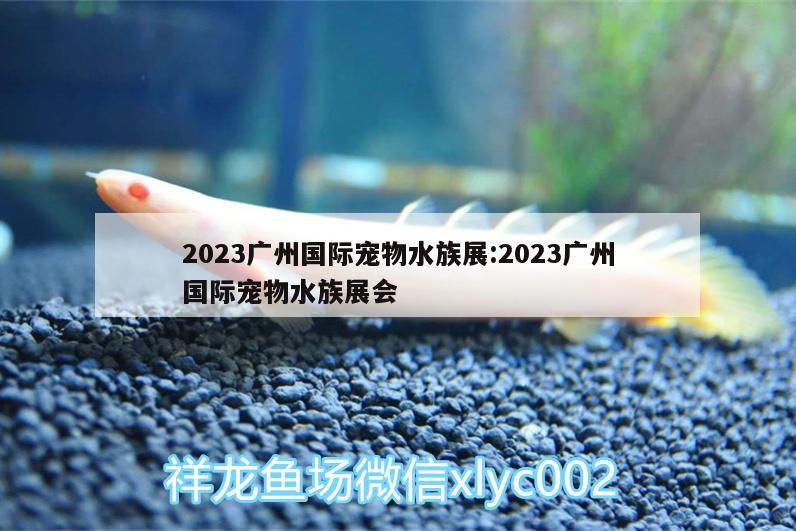 2023廣州國(guó)際寵物水族展:2023廣州國(guó)際寵物水族展會(huì) 水族展會(huì)